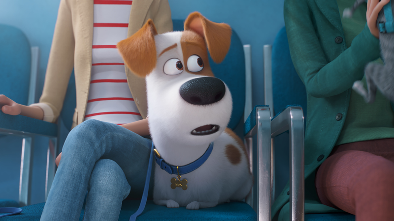 Illustration for article titled The mini-adventures of Secret Life Of Pets 2 belong on a disc of bonus features, not in theaters